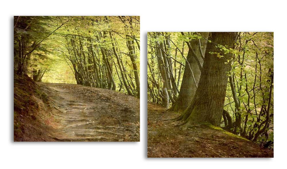 

Модульная картина LaPrint Дорога в лесу 200х109 см