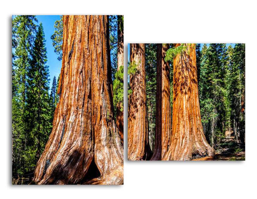 

Модульная картина LaPrint Сиквойи 200х145 см