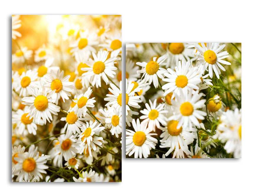 

Модульная картина LaPrint Ромашки 200х145 см