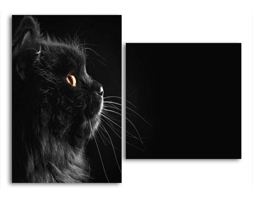 

Модульная картина LaPrint Котик 200х145 см