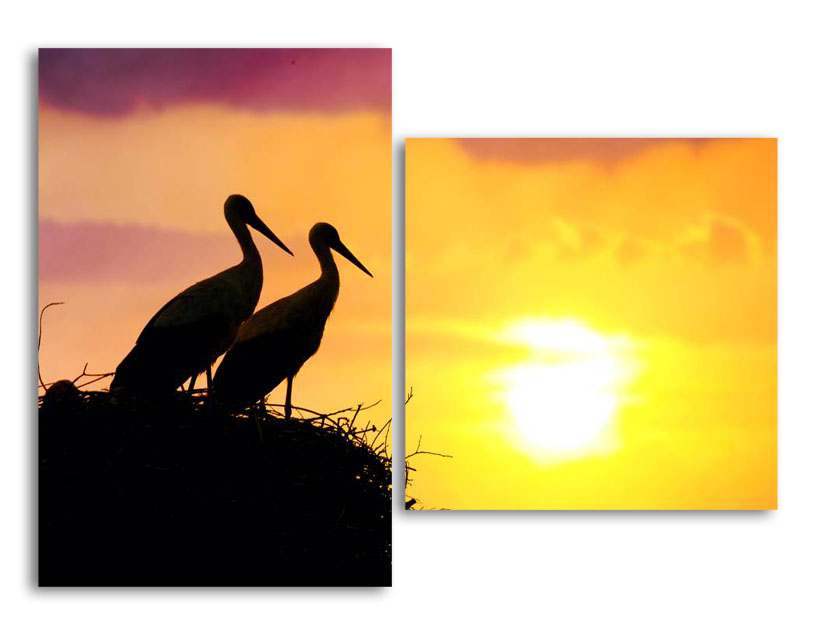 

Модульная картина LaPrint Аисты 200х145 см