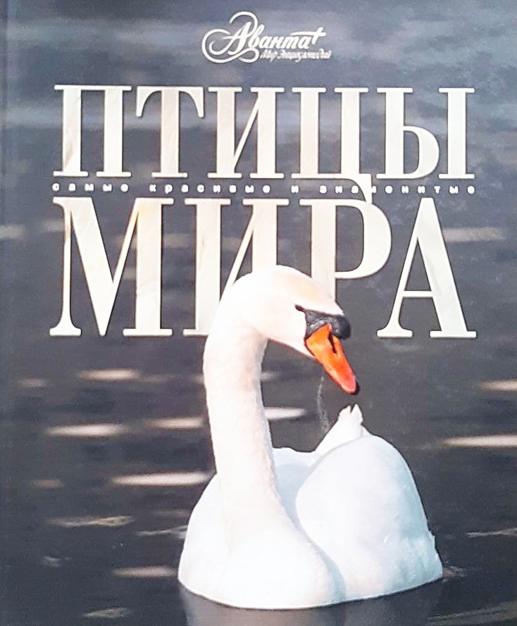 

Птицы мира - Константин Михайлов