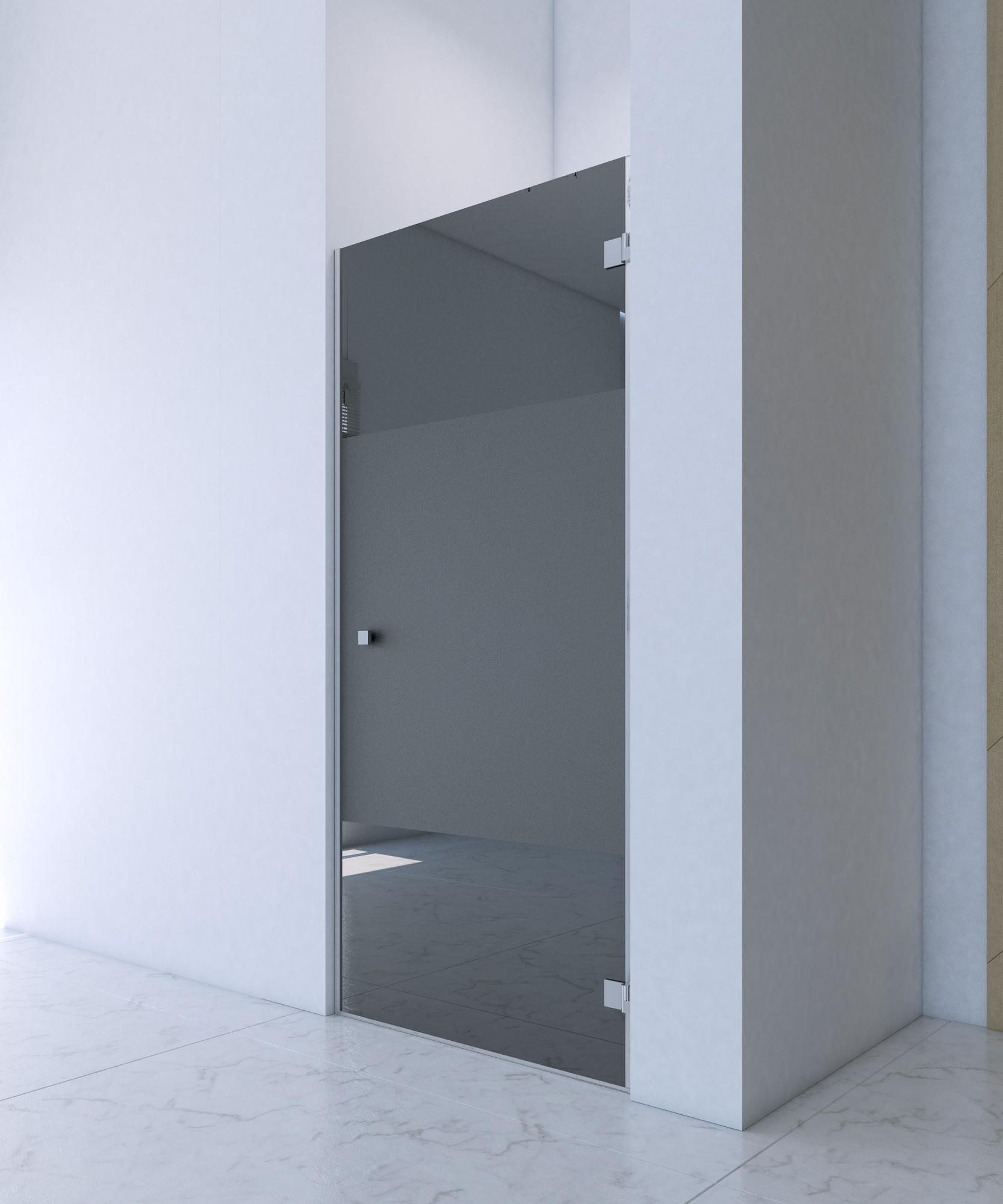 

Двері в нішу односекційні Роса 900х2000 Тоновані із фарбуванням