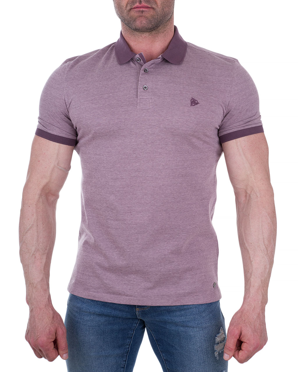 

Поло чоловіче ROY ROBSON (6805-90-348/8) Фіолетовий XXXL