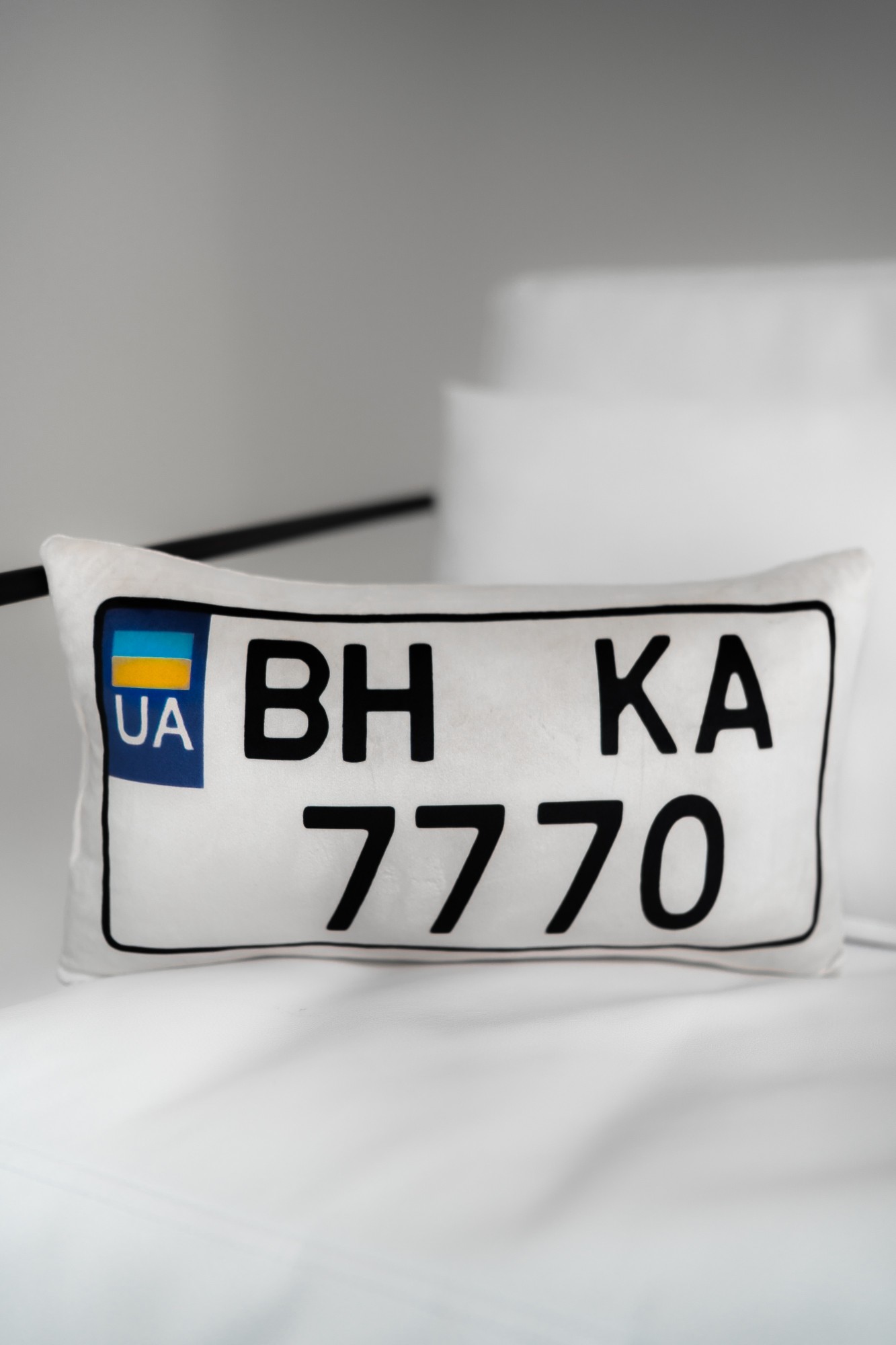 

Подушка IPQ двухсторонняя (транспорт) "Номер автомобильный" 65 см