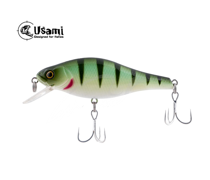 

Воблер Usami Pachi 80F-SR 9.0g #606 (1.5+m) (87892)