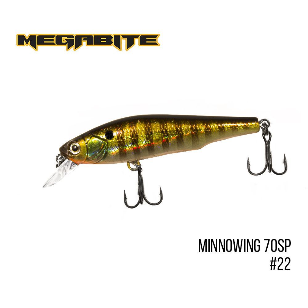 

Воблер Megabite Minnowing 70 SP (70 mm, 6.5 g, 1 m) (22)