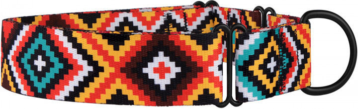 

Ошейник Мартингейл для собак BronzeDog Tribal Гуцульский нейлоновый c металлической фурнитурой М Оранжевый (25/1375/Т)