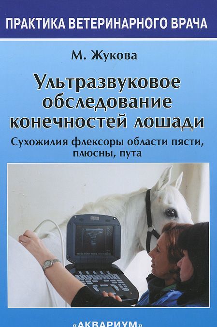 

Ультразвуковое обследование конечностей лошади