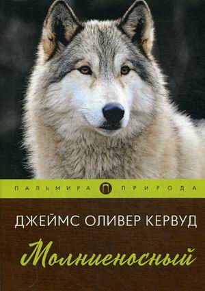 

Молниеносный (4243228)