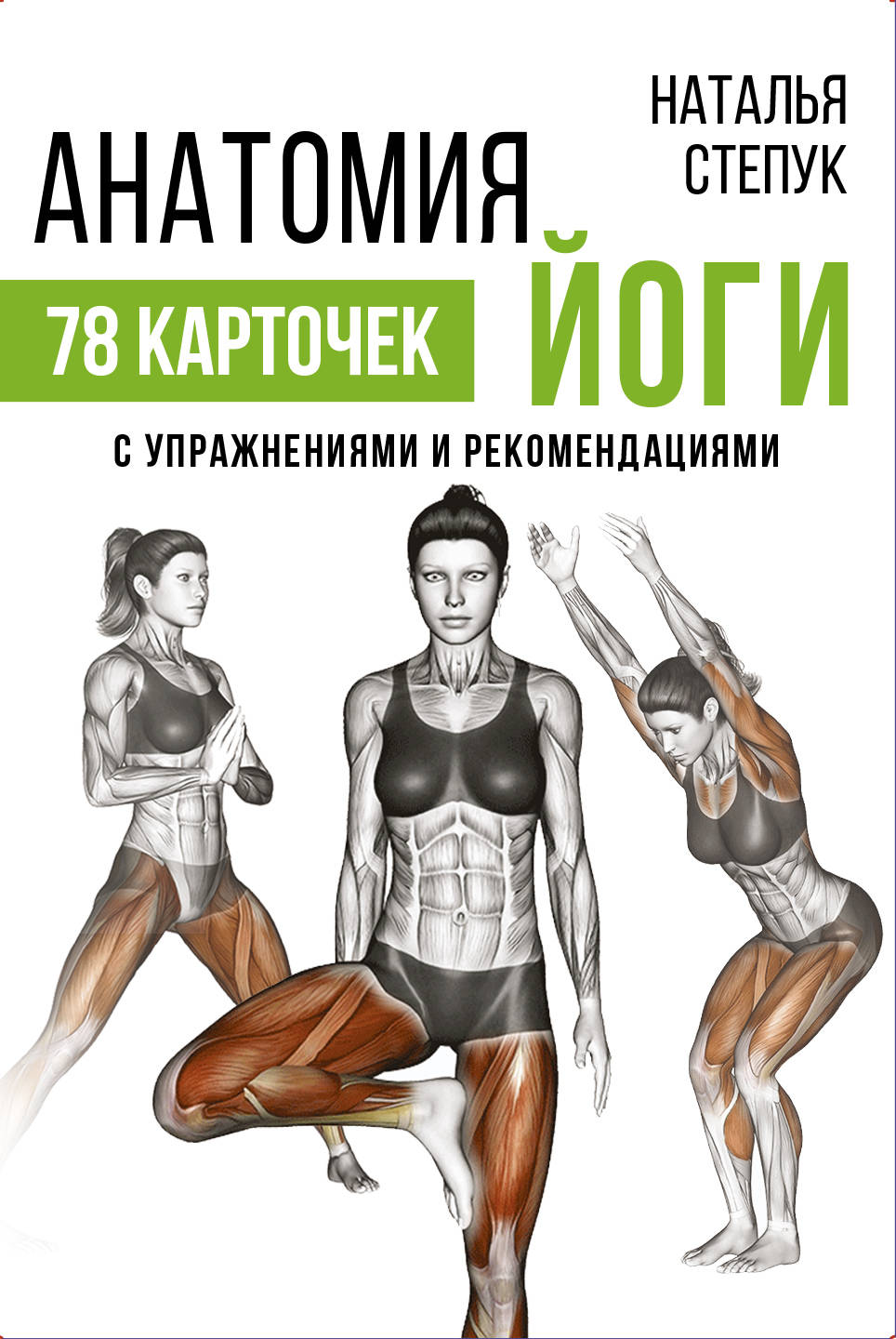 

Анатомия йоги (4093944)