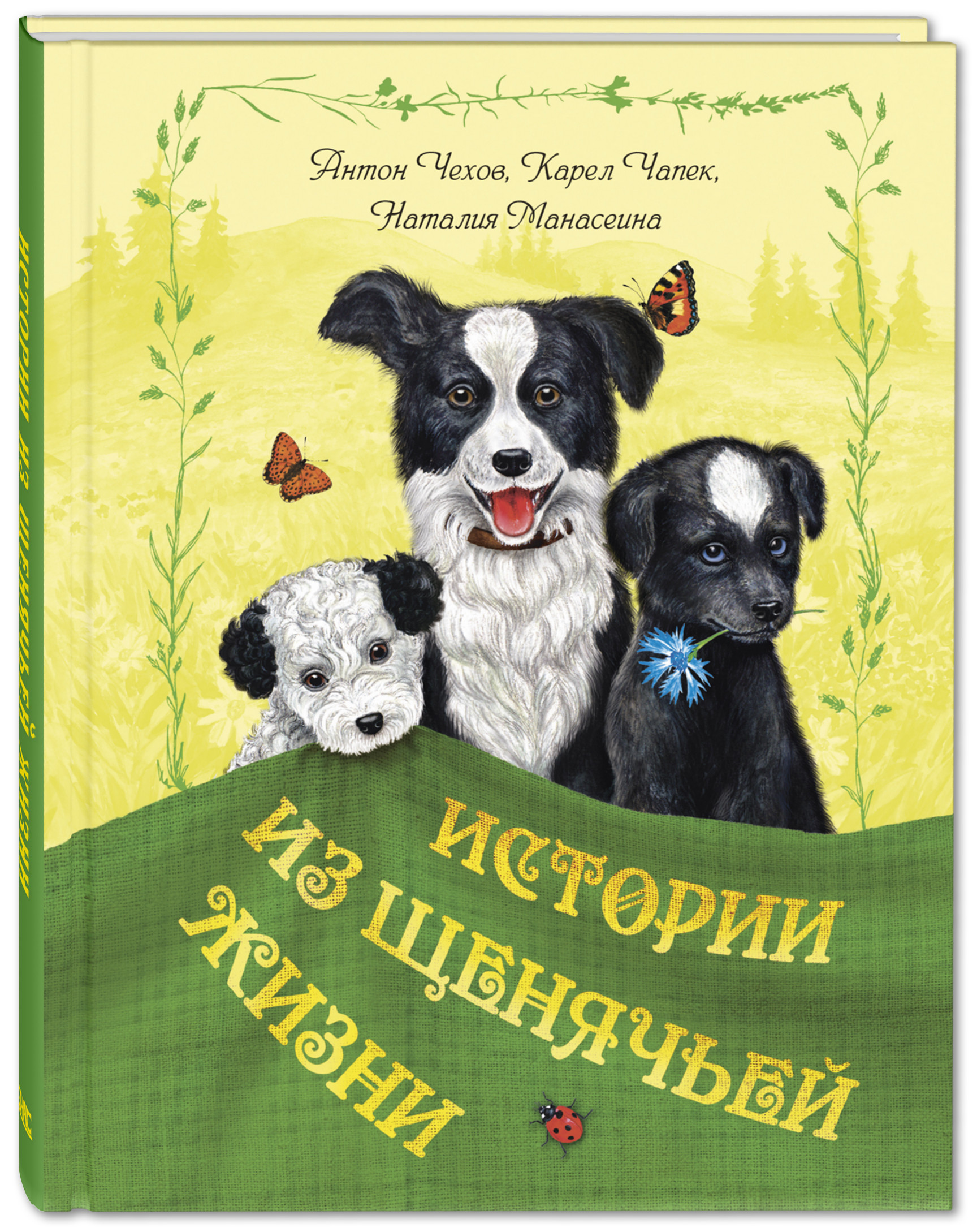 

Истории из щенячьей жизни