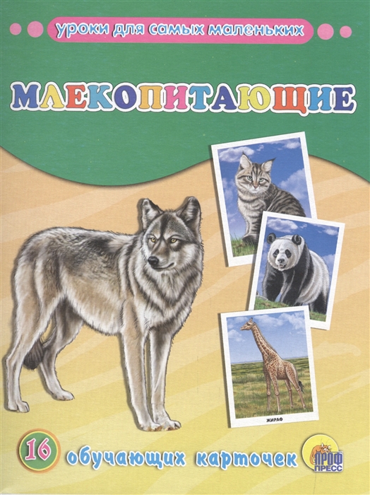 

ОБУЧАЮЩИЕ КАРТОЧКИ. МЛЕКОПИТАЮЩИЕ
