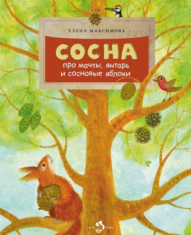 

Сосна. Про мачты, янтарь и сосновые яблоки