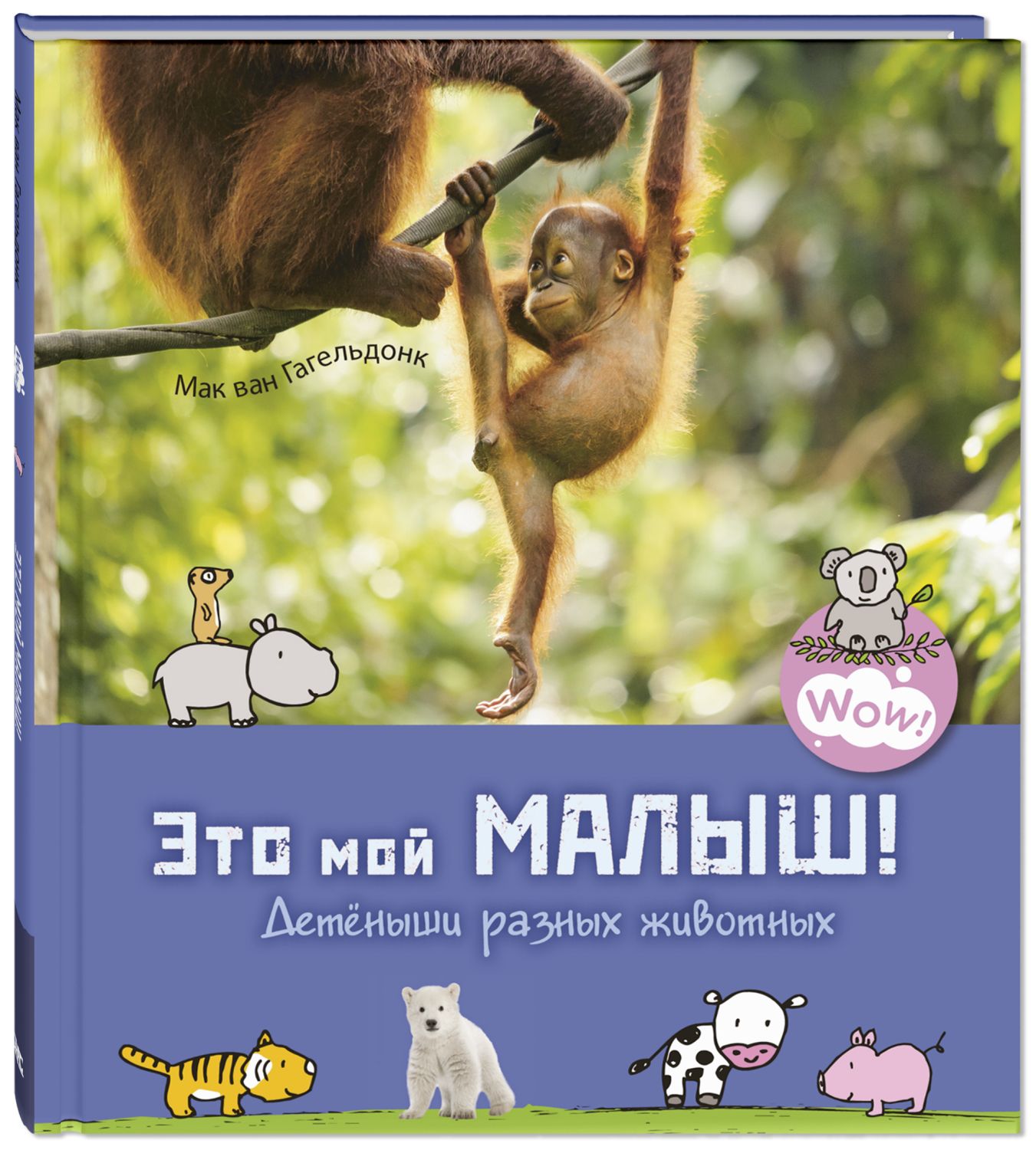 

Это мой малыш! Детёныши разных животных