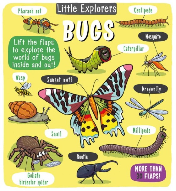 

Little Explorers: Bugs. Lift-the-flap board book