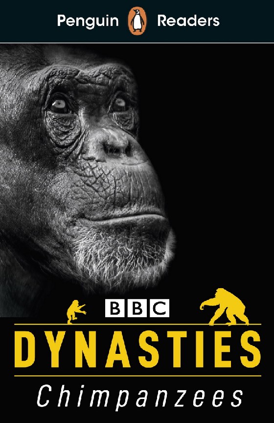 

Dynasties. Chimpanzees