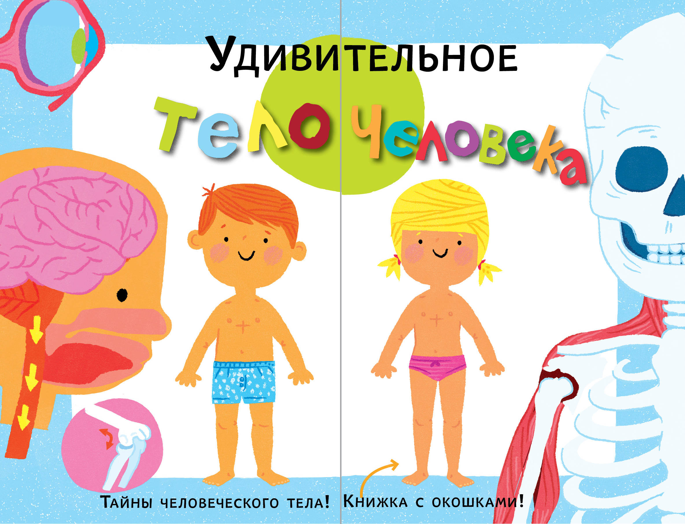 

Удивительное тело человека