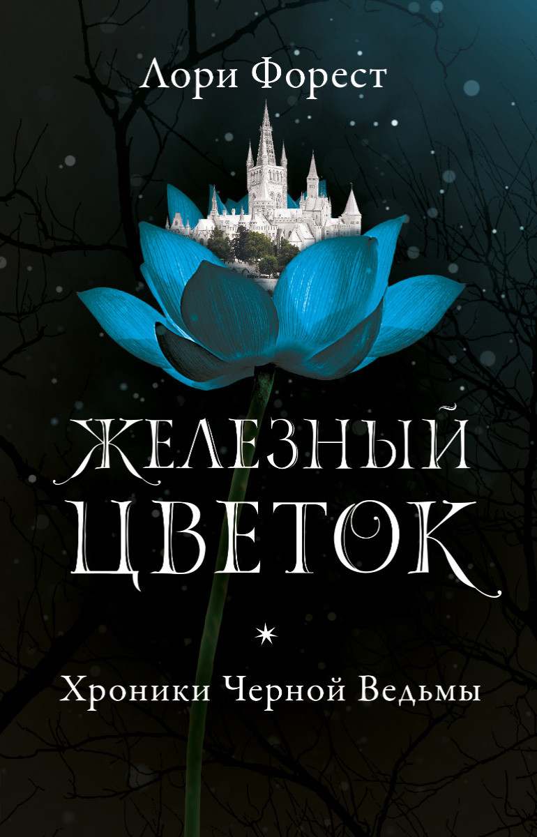 

Хроники Черной Ведьмы. Железный цветок