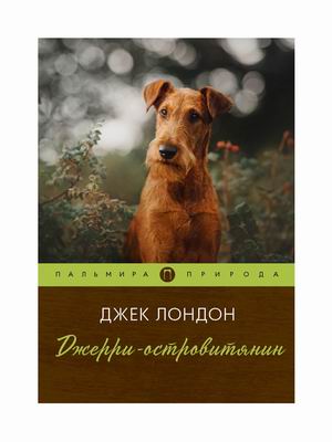 

Джерри-островитянин (4315683)