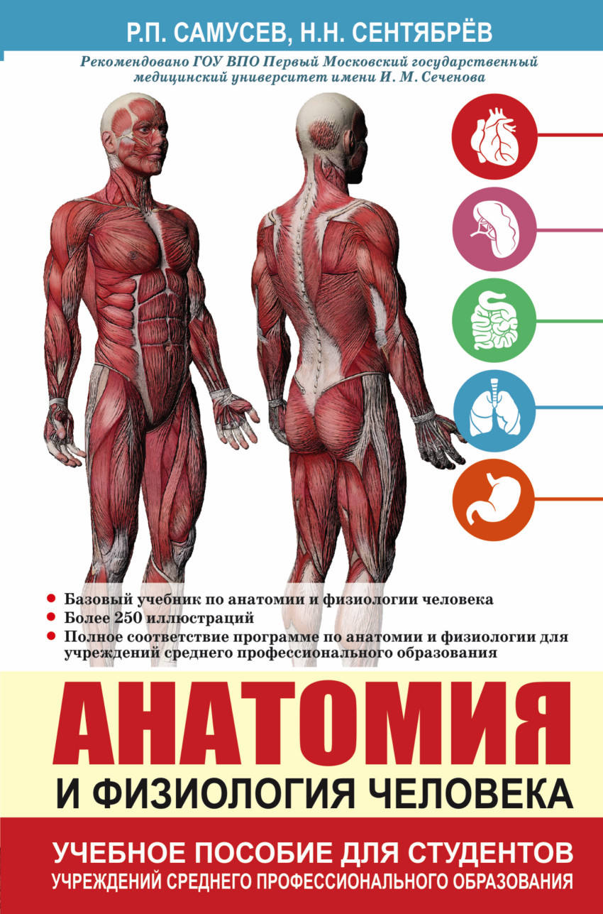 

Анатомия и физиология человека. Учебное пособие для студентов учреждений среднего профессионального образования (1052209)