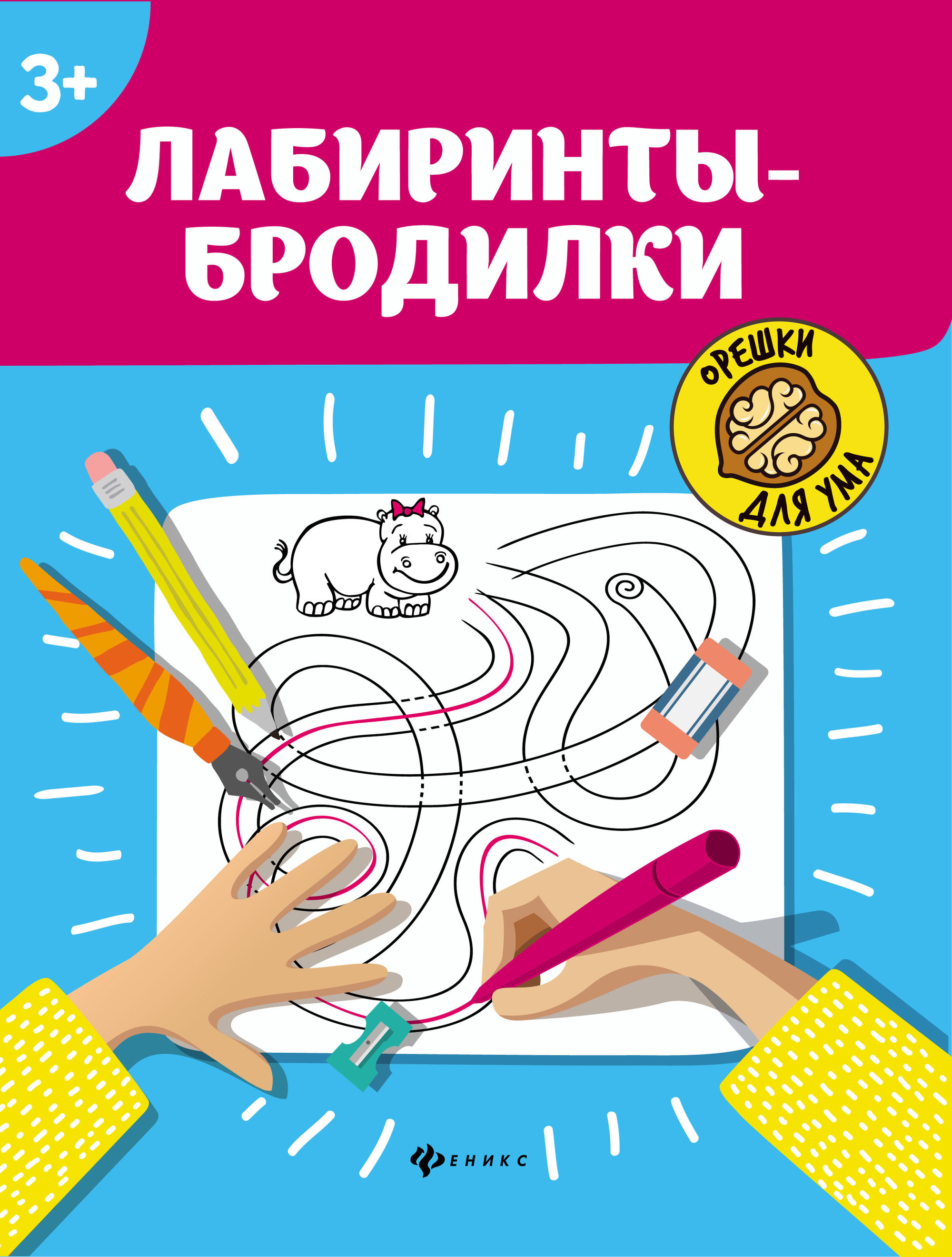 

Орешки для ума. Лабиринты-бродилки (4235451)