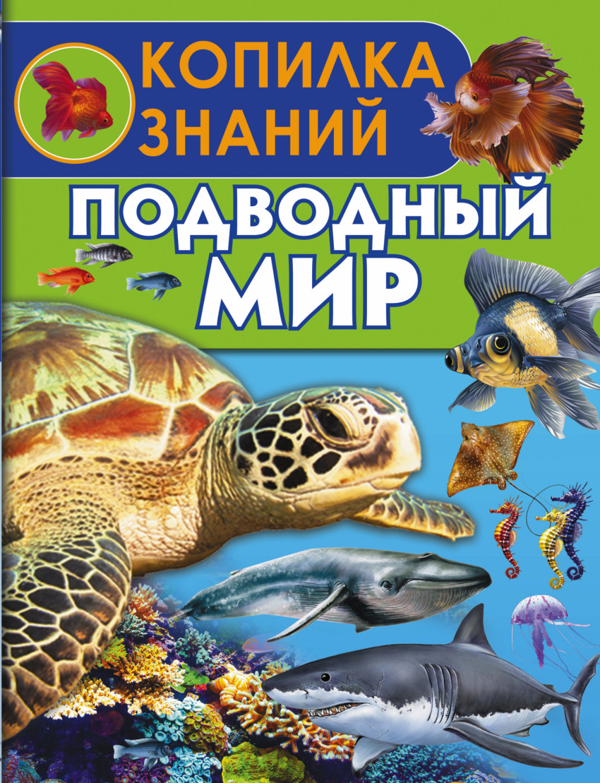

Подводный мир (1297807)