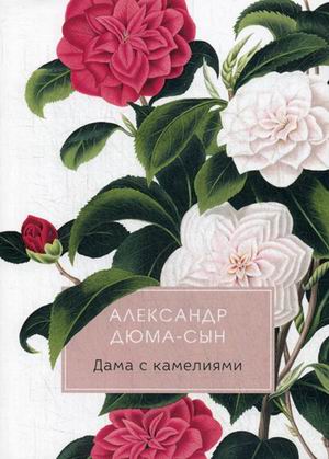 

Дама с камелиями (4219583)