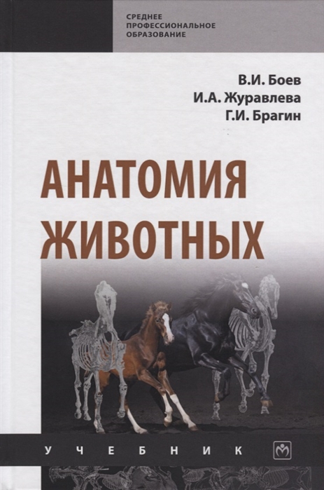 

Анатомия животных