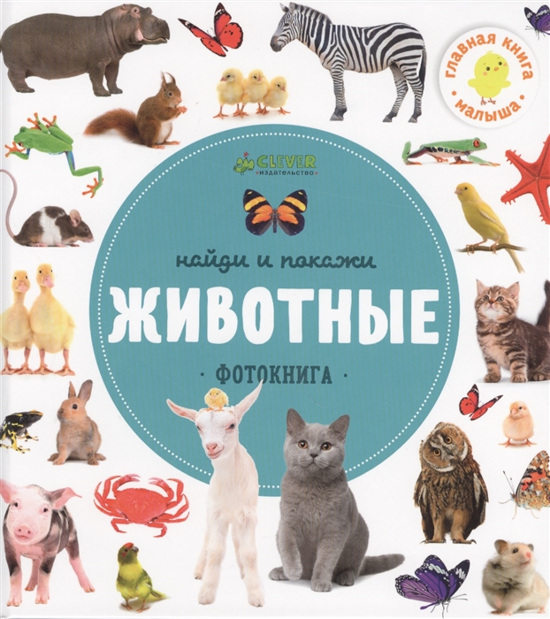 

Найди и покажи. Фотокнига. Животные