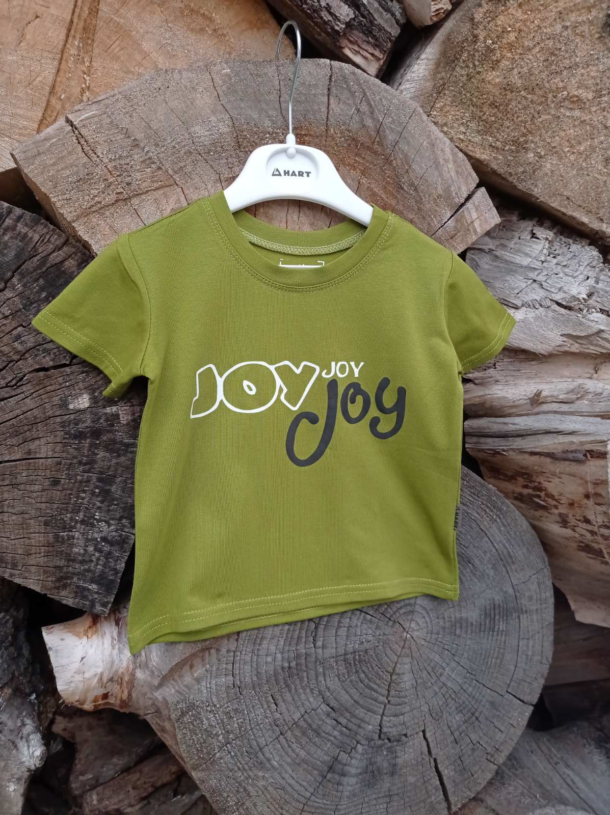 

Футболка Hart Joy 86 Фісташка 185963