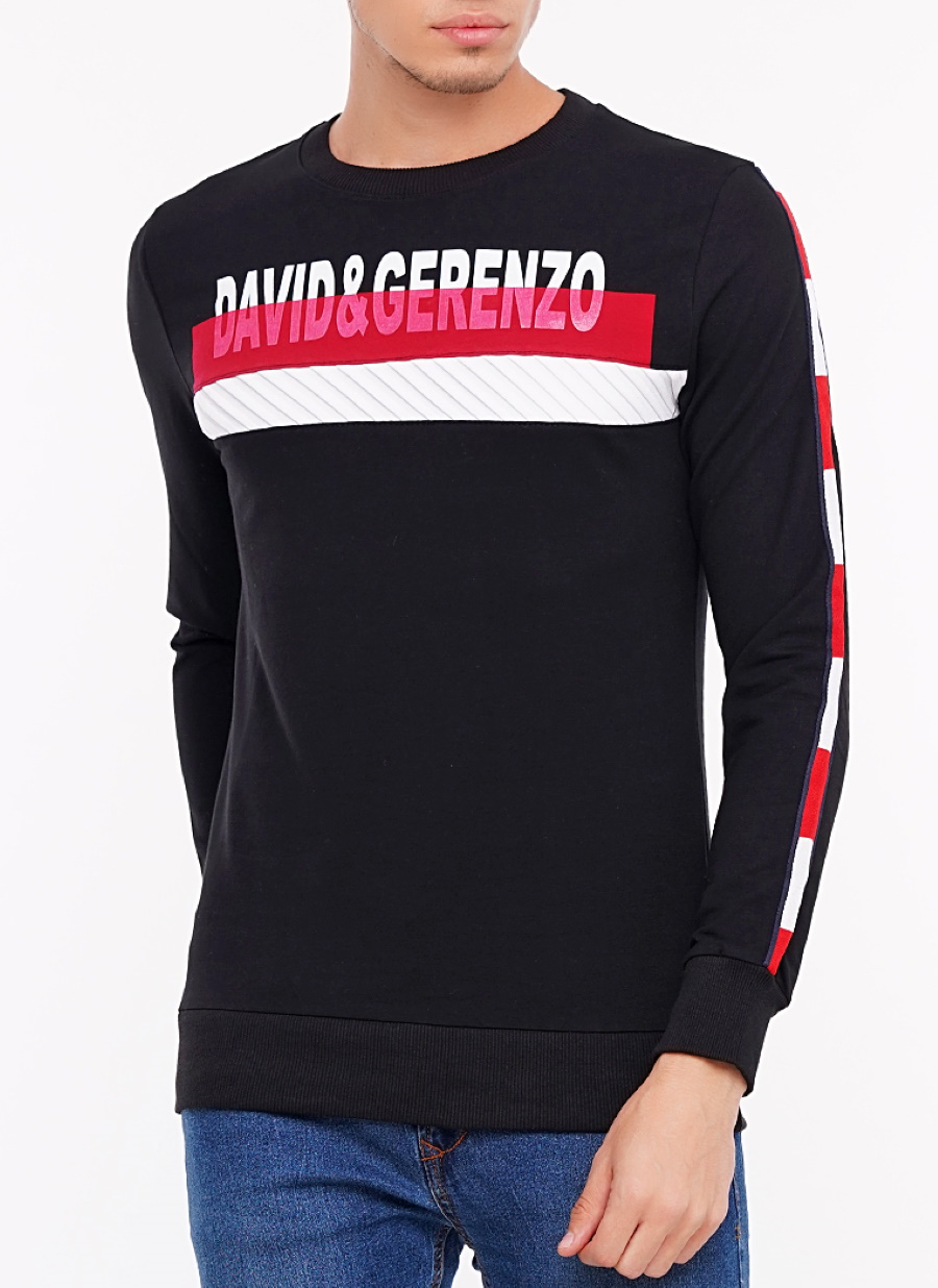 

Свитшот мужской DAVID GERENZO M Черный LS20270R