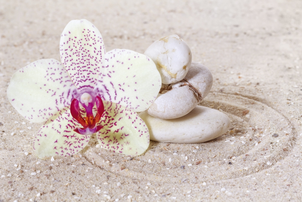 

Фотообои флизелиновые 3D Цветы 375х250 см Орхидея на песке (MS-5-0119)