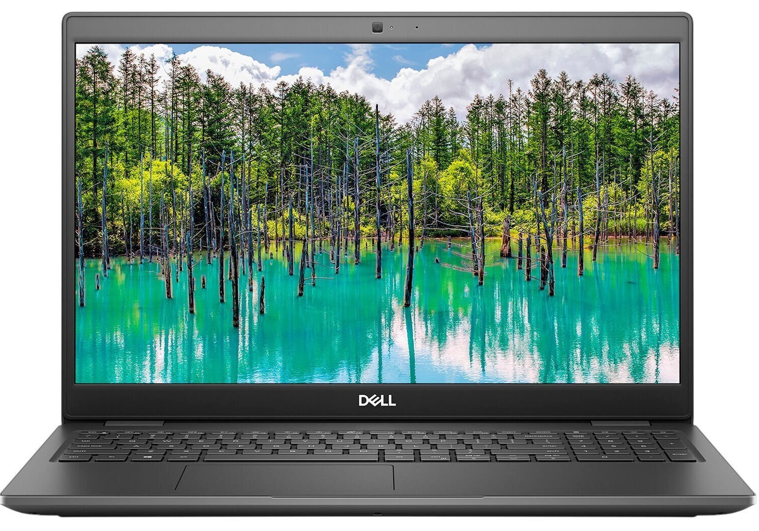 

Ноутбук Dell Latitude 3510