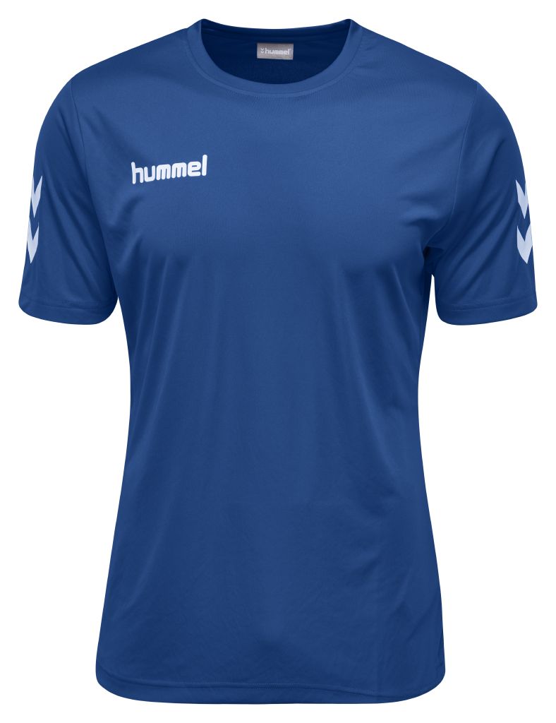 

Футболка Hummel CORE POLYESTER TEE S СИНИЙ (003-756-7045-S)