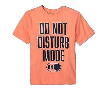

Футболка The Childrens Place для мальчика Do Not Disturb Mode 157 см