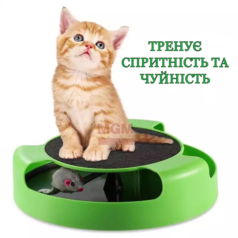 

Интерактивная игрушка для кошек и котов ПОЙМАЙ МЫШЬ Игра для котят, питомца CATCH THE MOUSE 360 градусов Зелёный