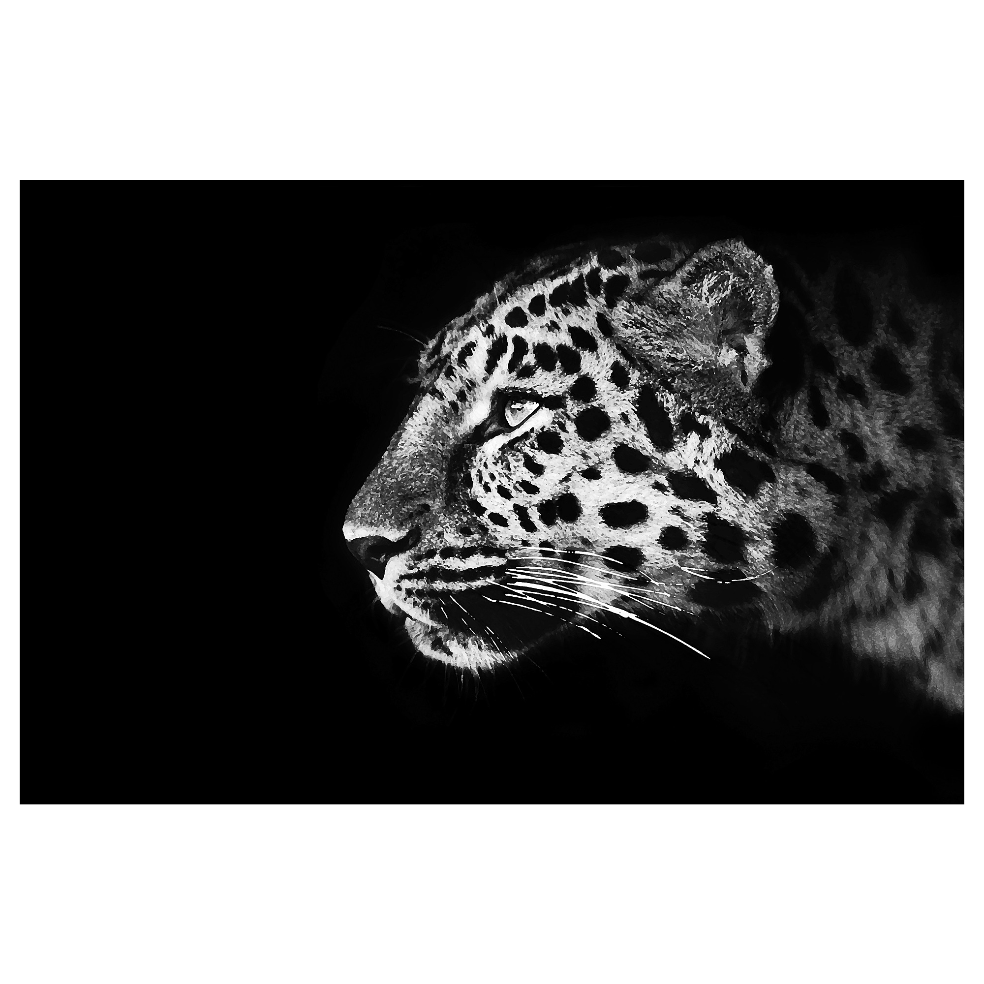 

Картина IKEA БЬЁРКСТА гепард 205.005.01