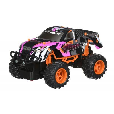 

Автомобиль NEW BRIGHT GRAFFITI TRUCK Violet 1:24 (2408F-2)