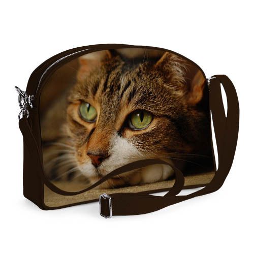

Сумка молодёжная College Presentville Котик 29x23x8 см