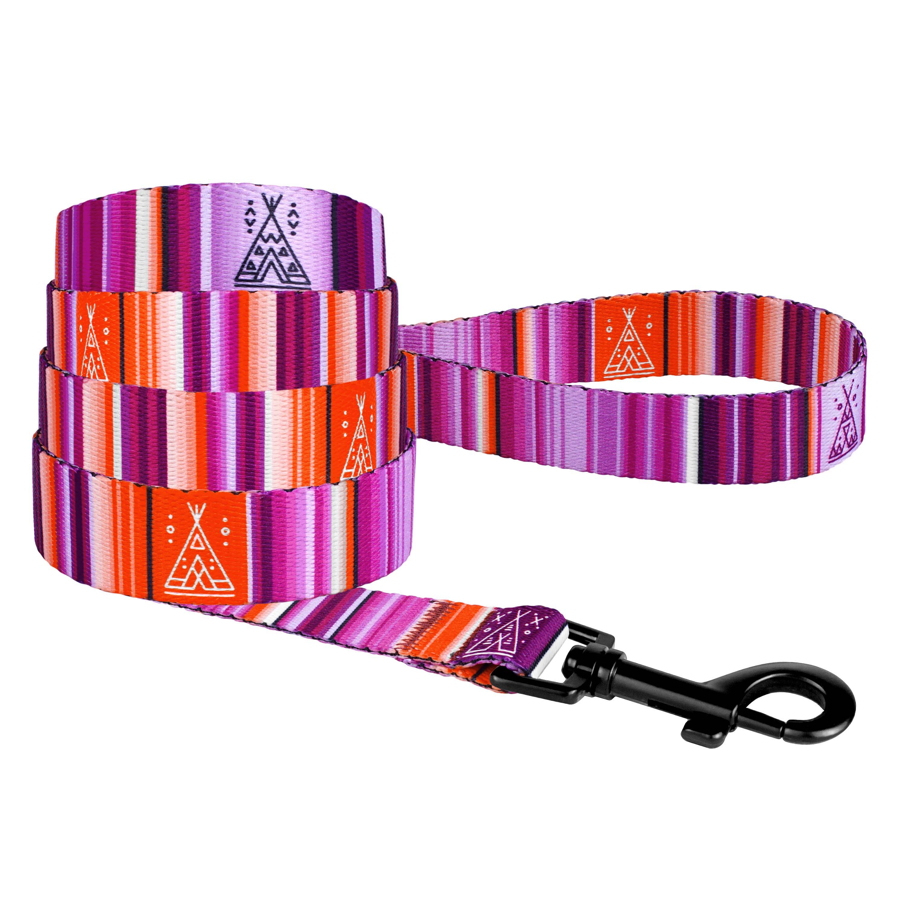 

Поводок для Собак BronzeDog Urban West Нейлоновый Фиолетовый 20 мм 152 см (61/1359)