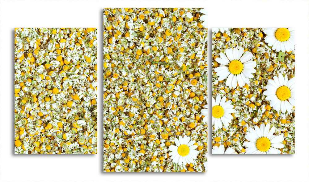 

Модульная картина LaPrint Ромашки 200x117 см