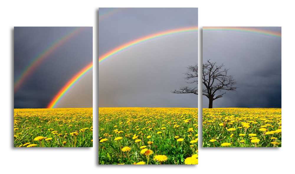 

Модульная картина LaPrint Радуга в поле 200x117 см