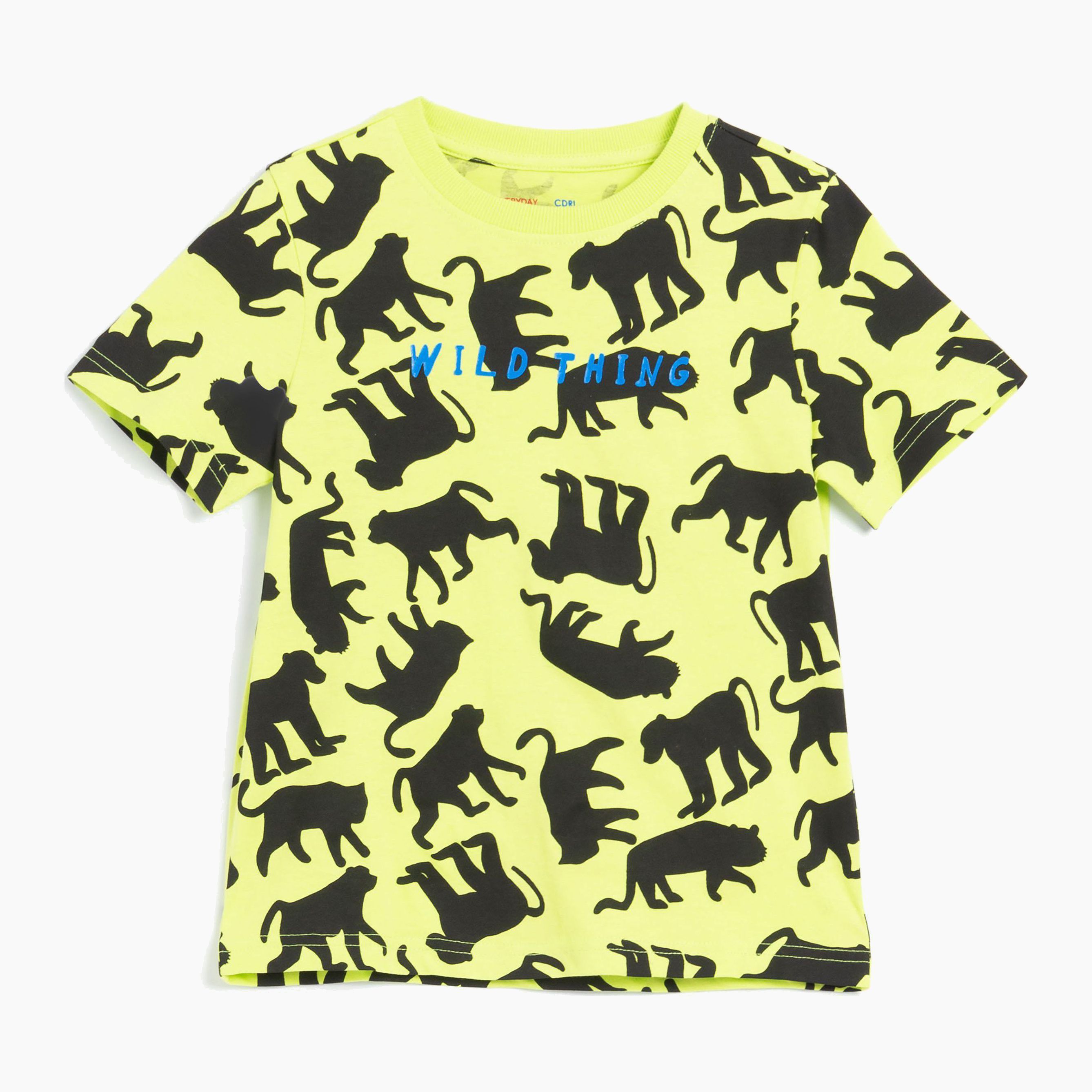 

Футболка Coccodrillo Everyday Wild Thing WC1143201EWT-011 116 см