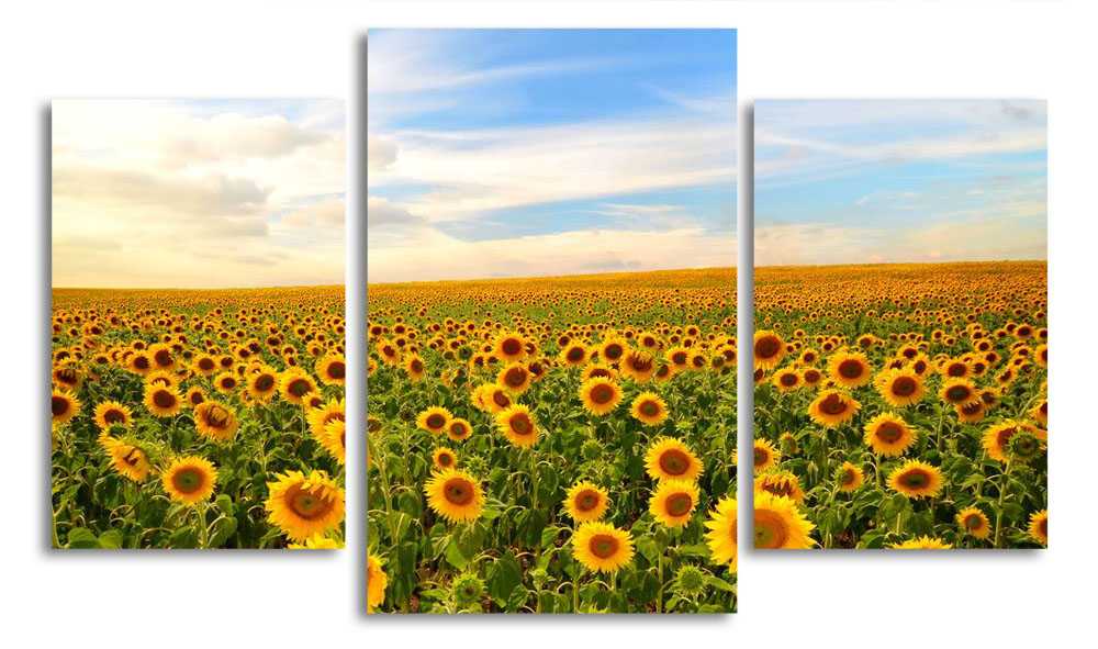 

Модульная картина LaPrint Подсолнухи 200x117 см