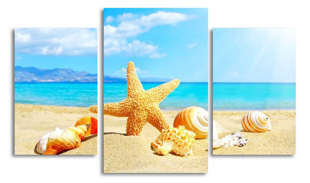 

Модульная картина LaPrint Морская звезда и ракушки 200x117 см