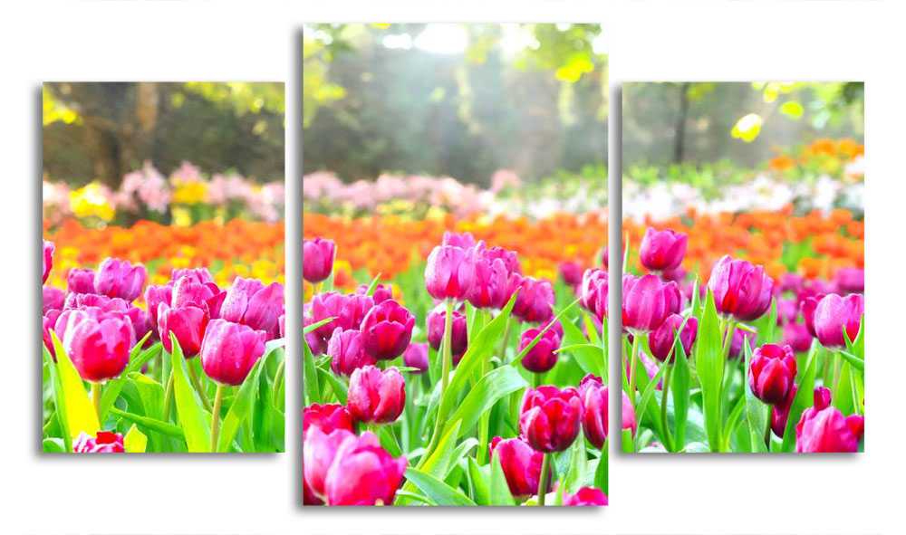 

Модульная картина LaPrint Аллея тюльпанов 200x117 см