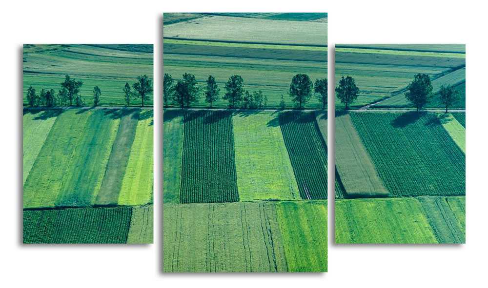 

Модульная картина LaPrint Поля 200x117 см