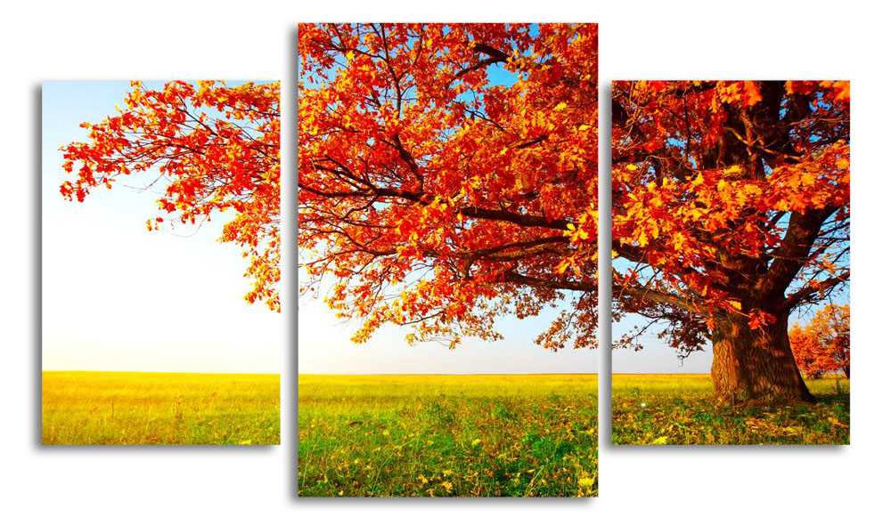 

Модульная картина LaPrint Осенний дуб 200x117 см