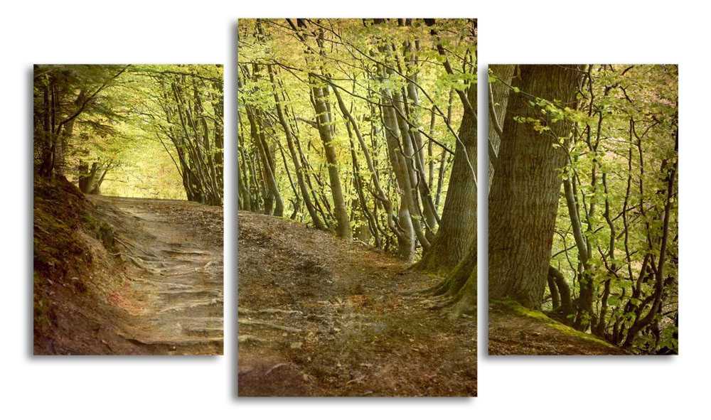 

Модульная картина LaPrint Дорога в лесу 200x117 см